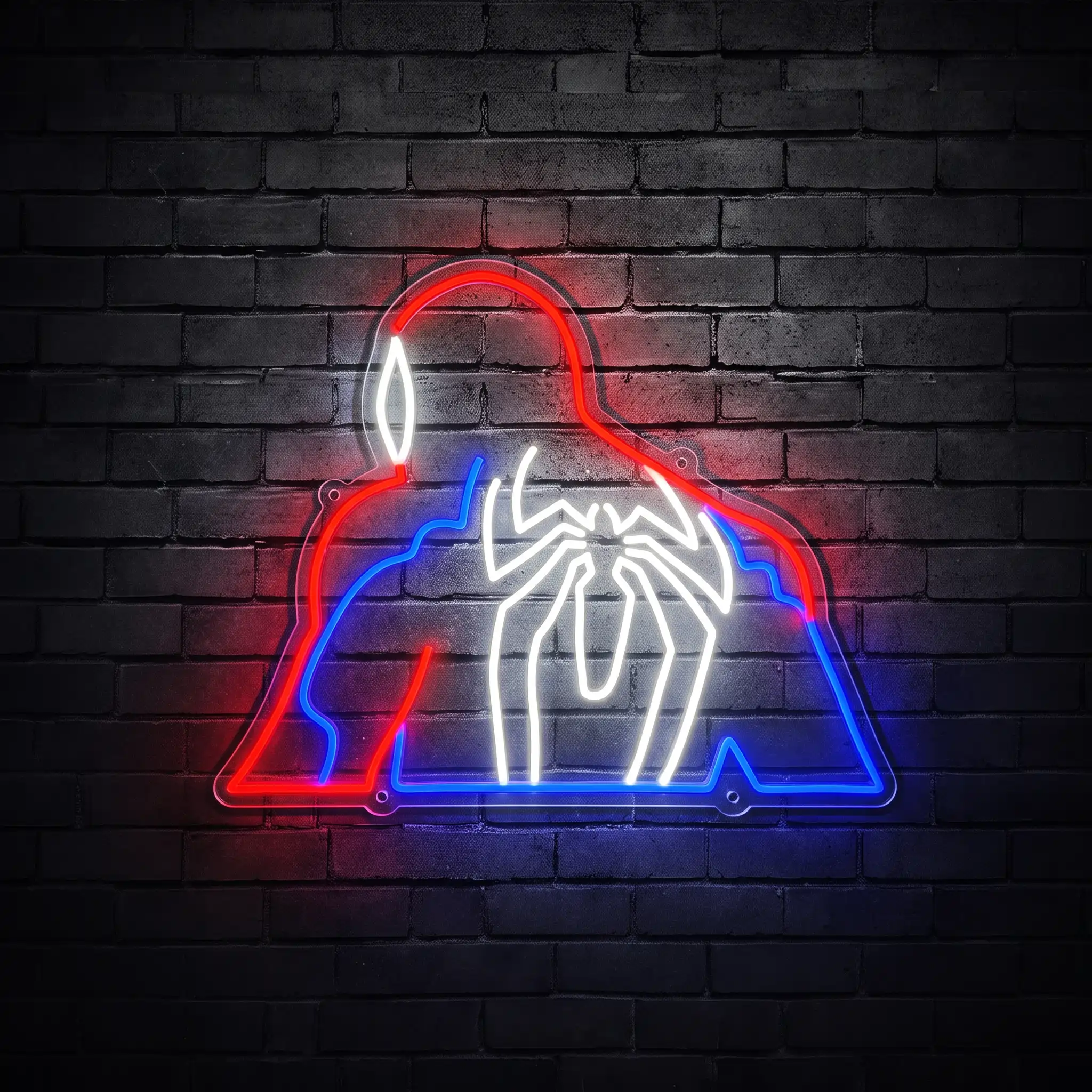 Spider Man Back