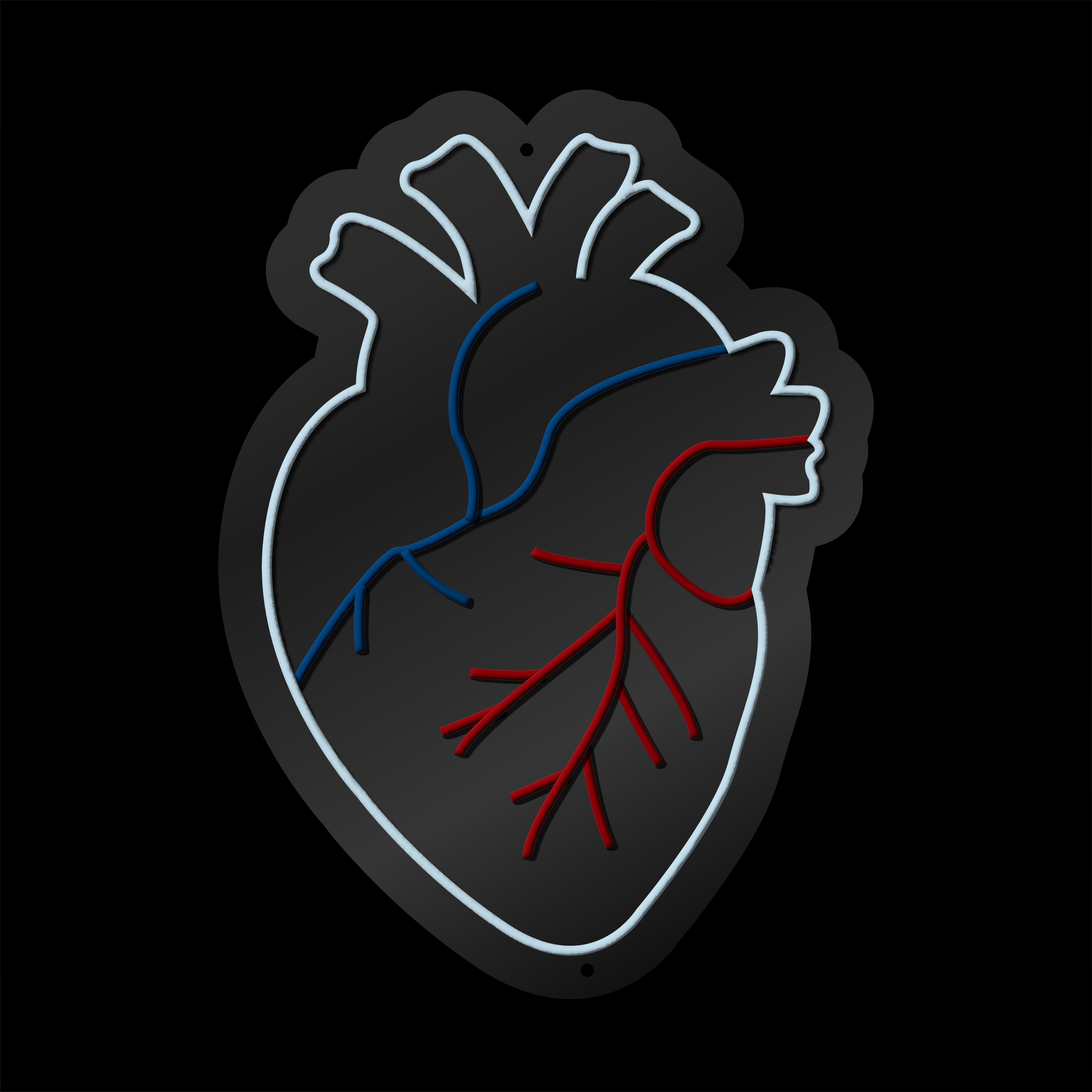 Heart