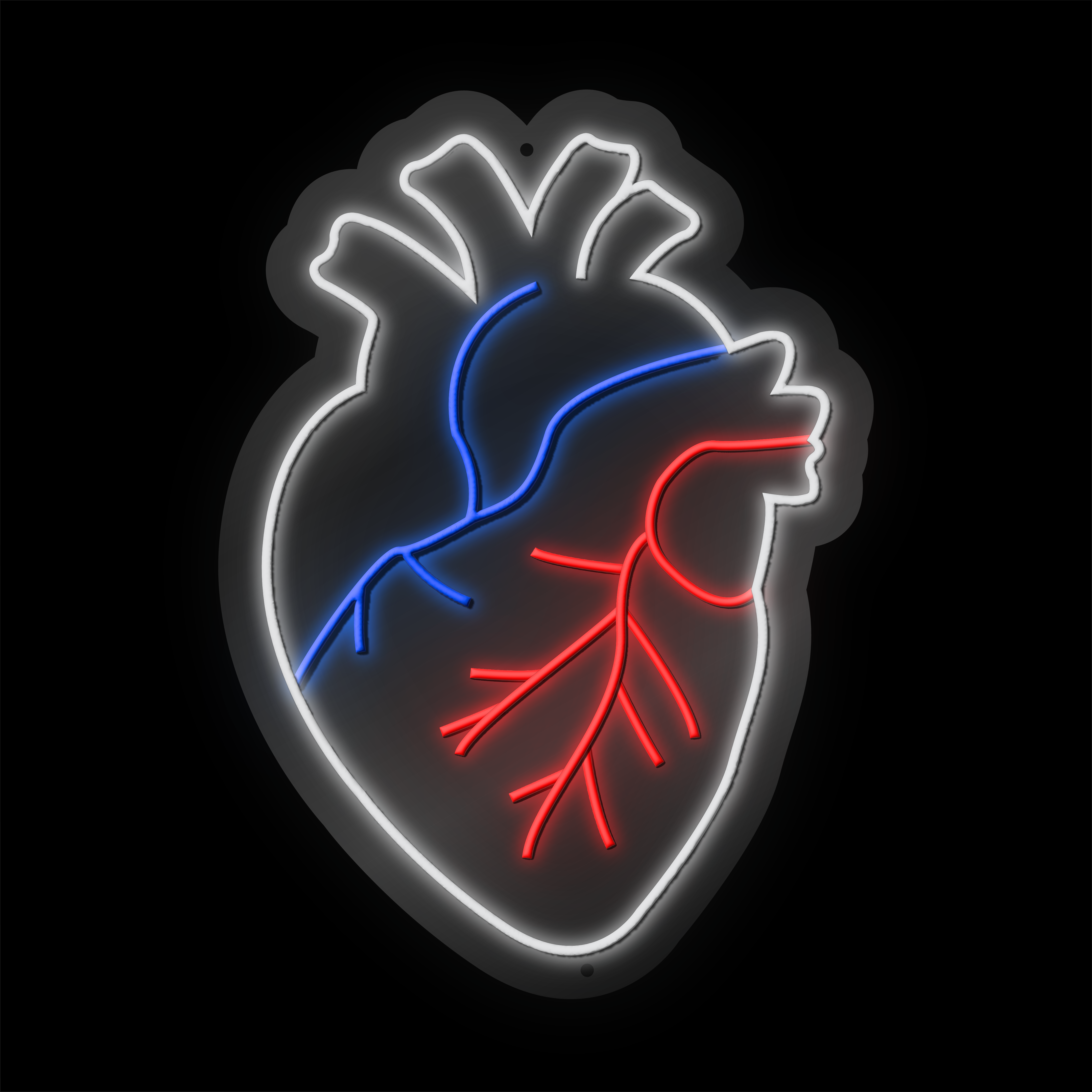 Heart thumbnail 2